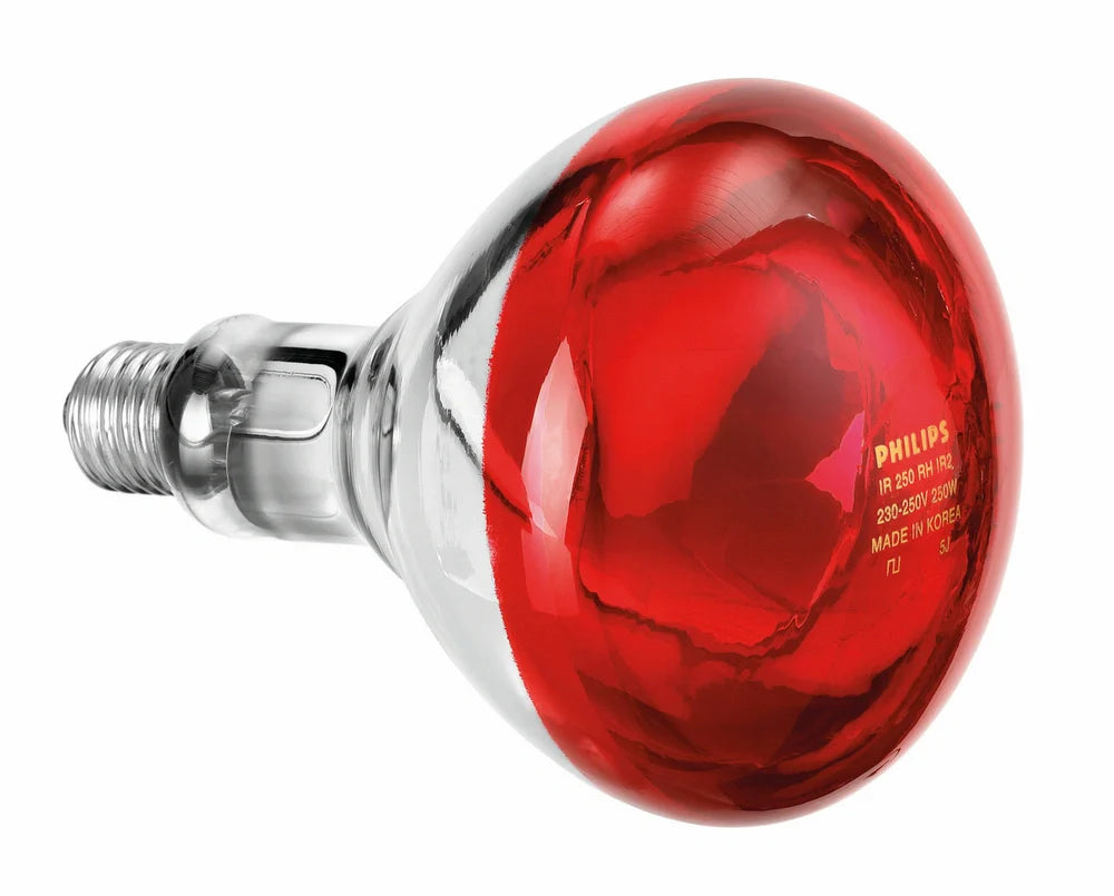 Ampoule infrarouge IWL250D - BARTSCHER - 114271