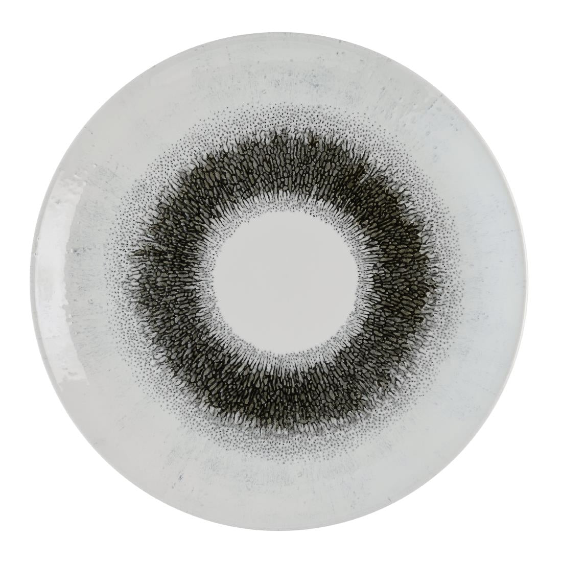 Assiettes rondes Churchill Studio Prints Fusion Black Evolve 285mm (Lot de 12)