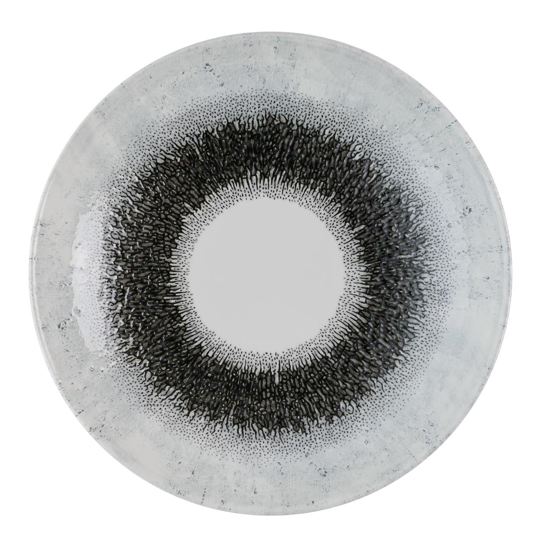 Assiettes coupes rondes Churchill Studio Prints Fusion Black Evolve 247mm (Lot de 12)