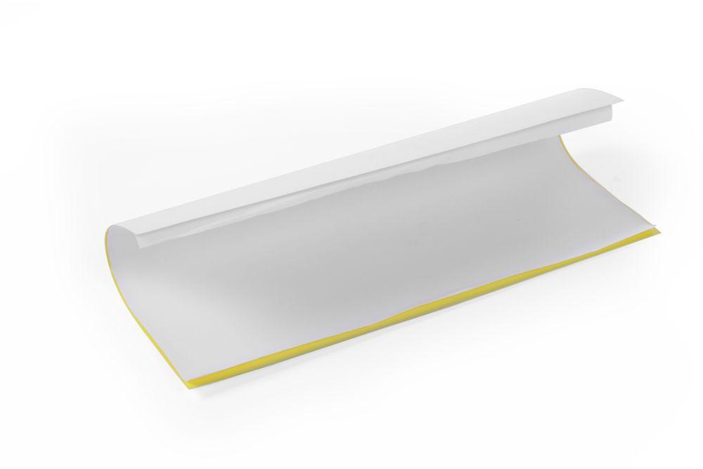 Plaque collante pour destructeurs d'insectes, HENDI, 270196, 390x270mm