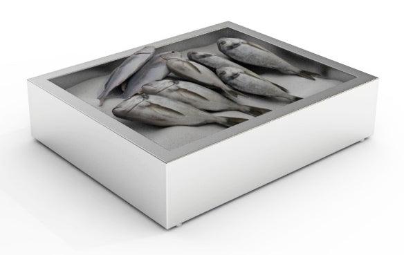 Bac à Glace Pilée CombiSteel 2/1 GN - FRANCE CHR