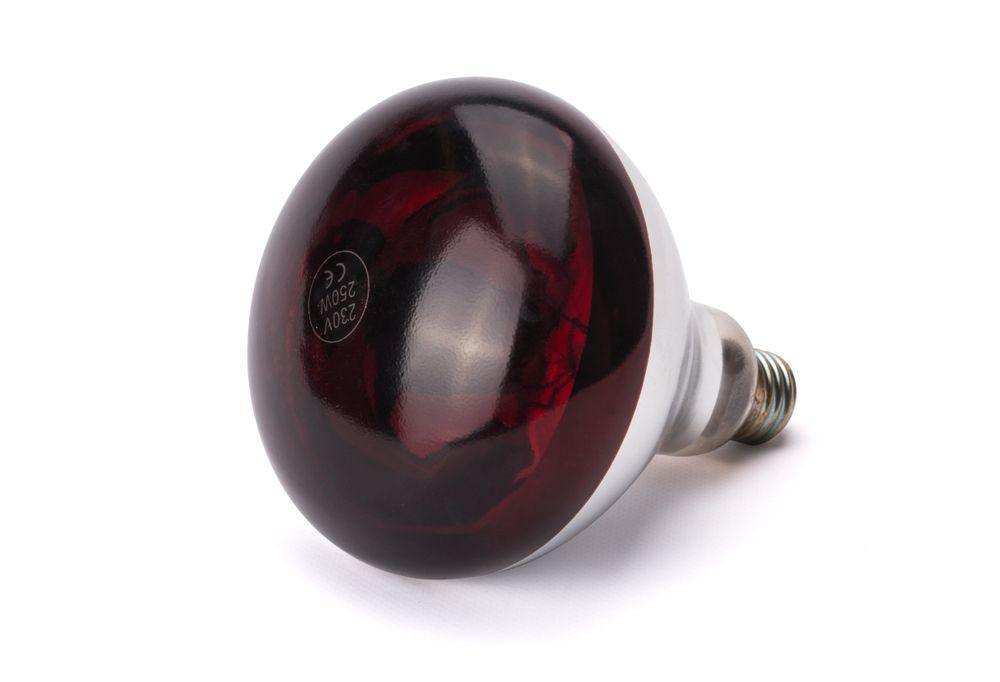 Ampoule infrarouge chauffante, HENDI, 230V/250W, ø125x(H)170mm