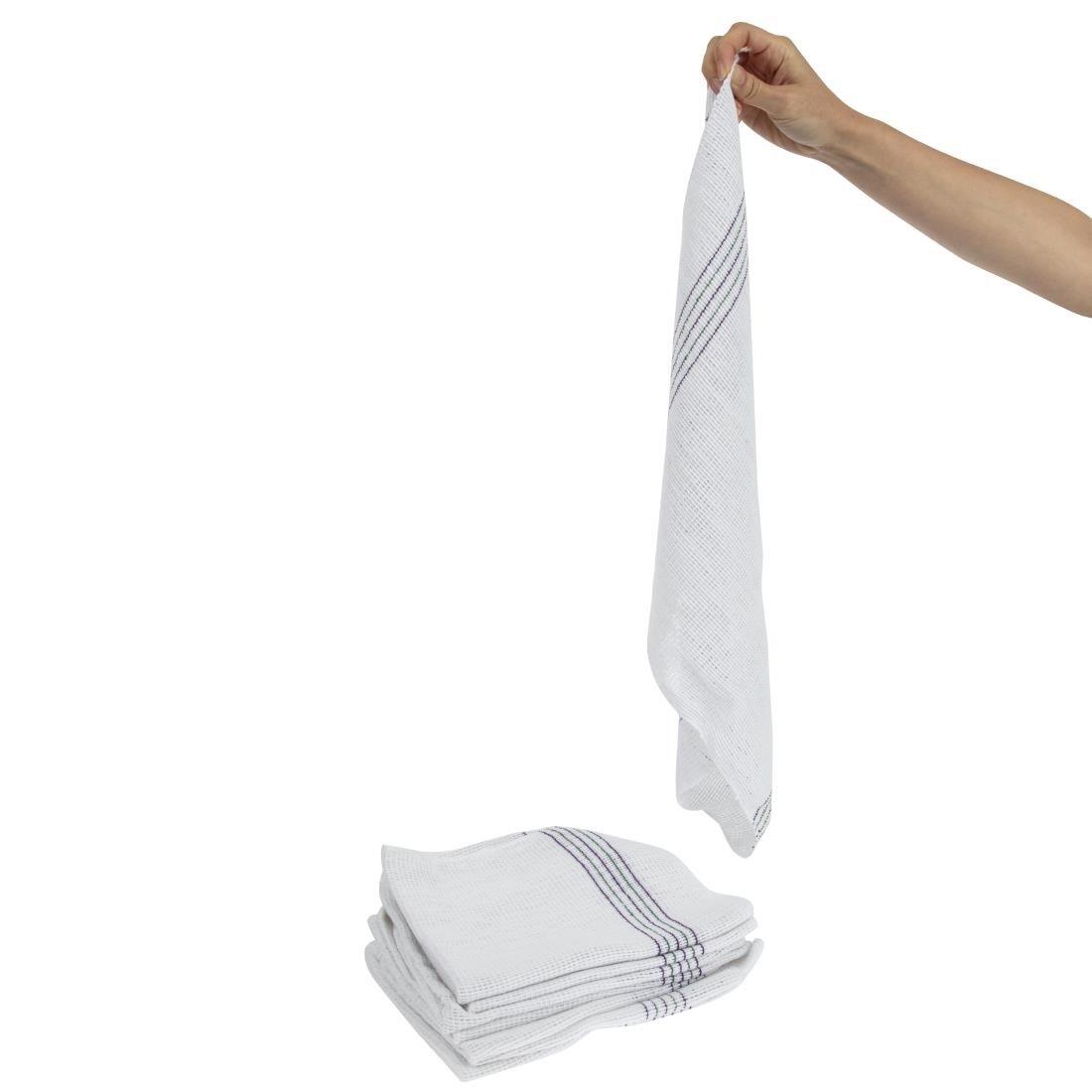 Serpillières Jantex (Lot de 10) - FRANCE CHR