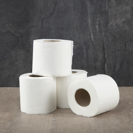 Papier toilette standard Jantex 2 plis (Lot de 36) - FRANCE CHR