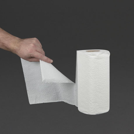 Essuie-tout blanc 2 plis Jantex 11,5m (lot de 24) - FRANCE CHR