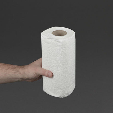 Essuie-tout blanc 2 plis Jantex 11,5m (lot de 24) - FRANCE CHR