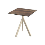 Infinity Tripod table de bistrot avec piètement sable + plateau HPL Tropical Wood 70x70 cm - VEBA - 1 pcs