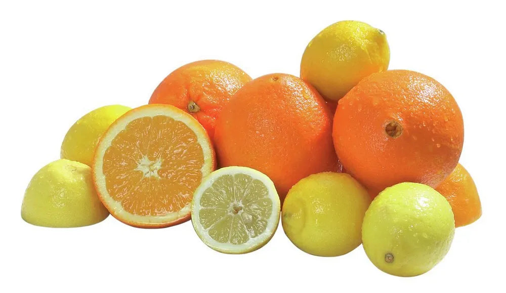 Presse-agrume "Joy" - BARTSCHER - 150140