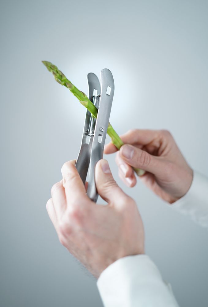 Éplucheur à asperges - HENDI