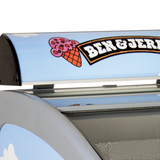 Congélateur de crème glacée - NIC401SC - TEFCOLD