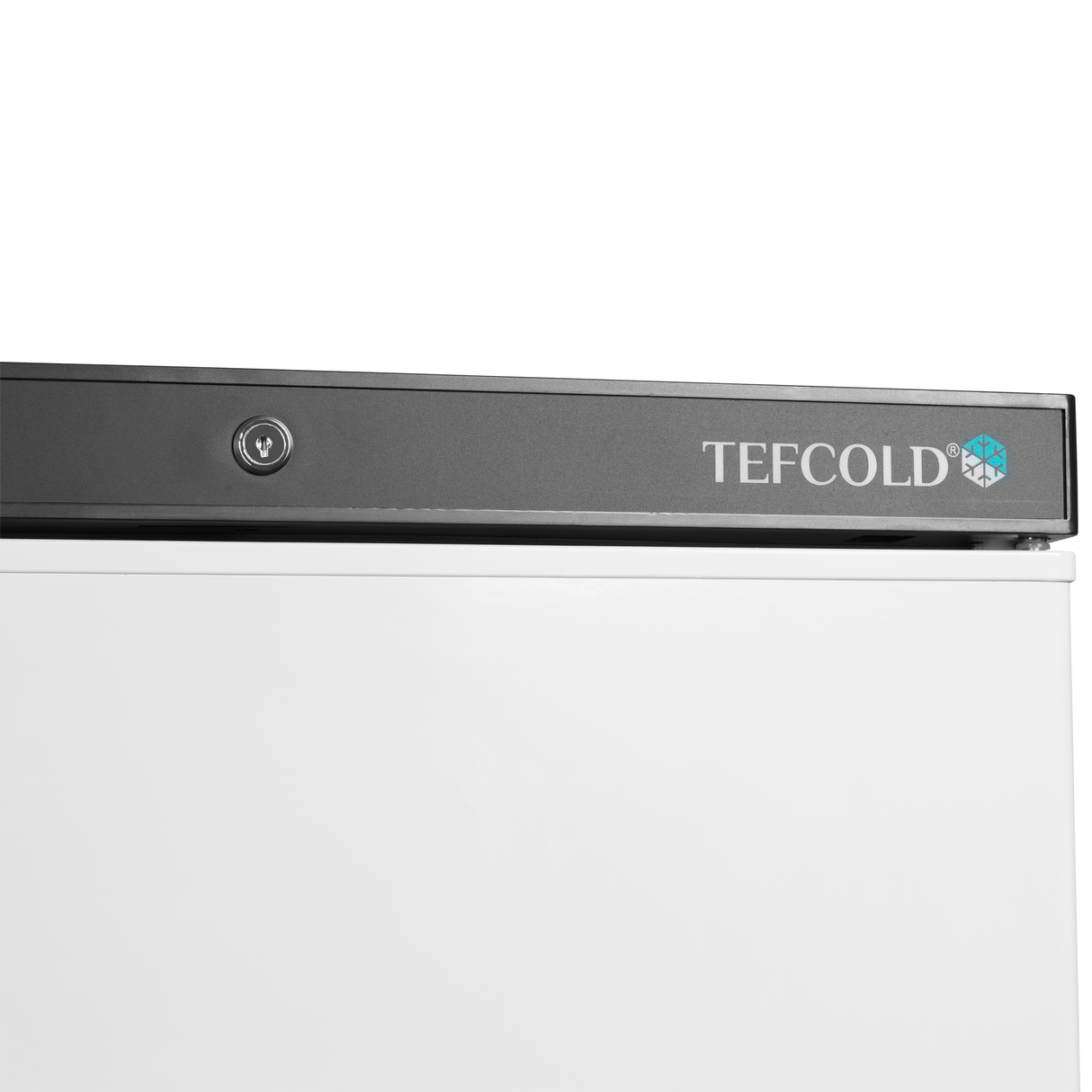 Congélateurs de stockage - UF400 - TEFCOLD