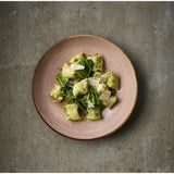 Bols Churchill Stonecast Raw Terracotta Evolve 248mm (Lot de 12)