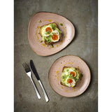 Assiettes avec rebord Churchill Stonecast Raw Terracotta Evolve 220mm (Lot de 12)