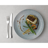 Assiettes coupe ronde Churchill Studio Prints Raku Topaz Blue 248mm (Lot de 12)