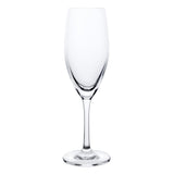 Flûtes à champagne en cristal Olympia Cantina 195ml (lot de 6)