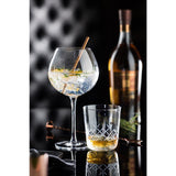 Verres à gin Raffles Vintage Utopia 70 cl (lot de 6)