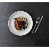 Assiettes rondes Churchill Raku Jasper Grey Evolve 217mm (Lot de 12)