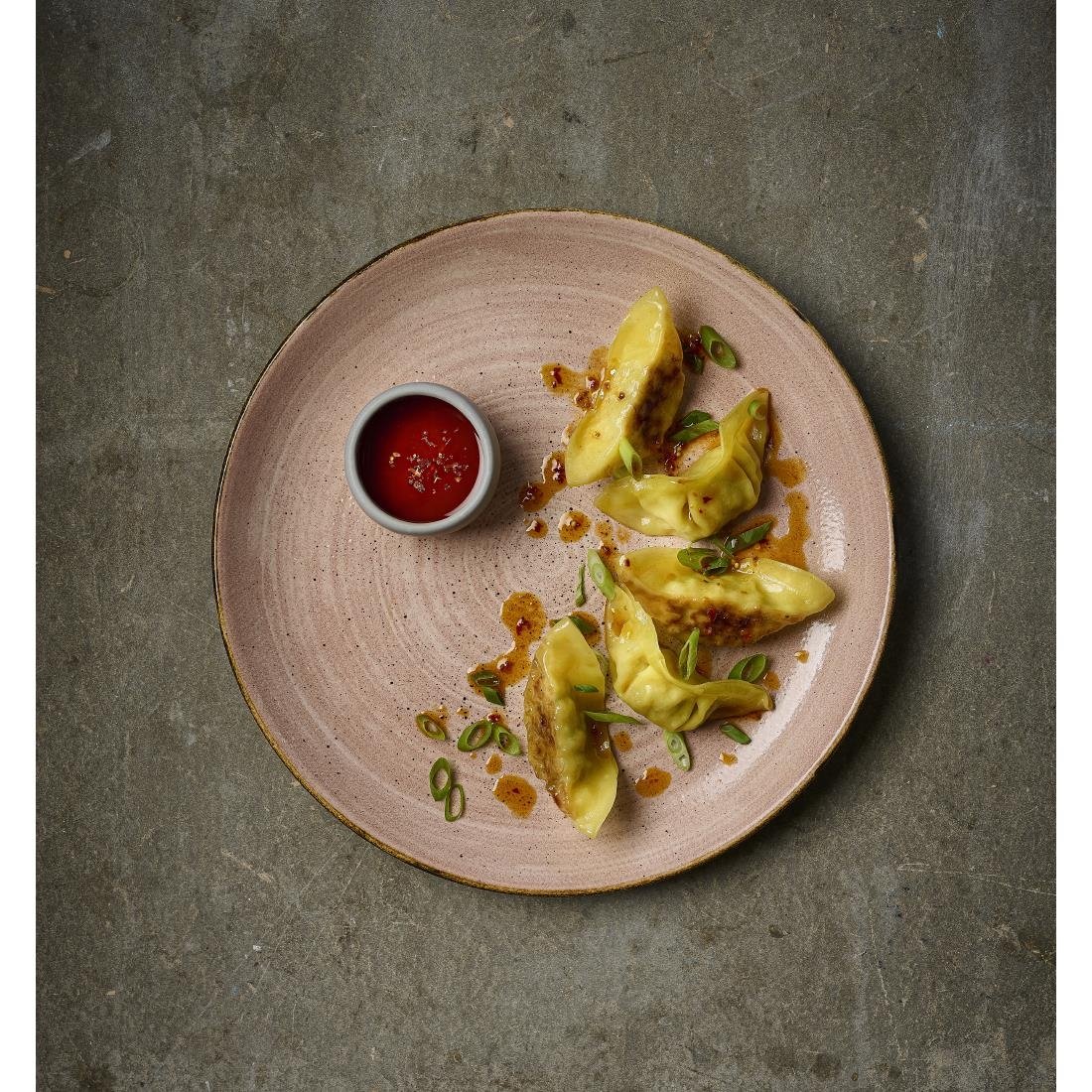 Assiettes avec rebord Churchill Stonecast Raw Terracotta Evolve 165mm (Lot de 12)