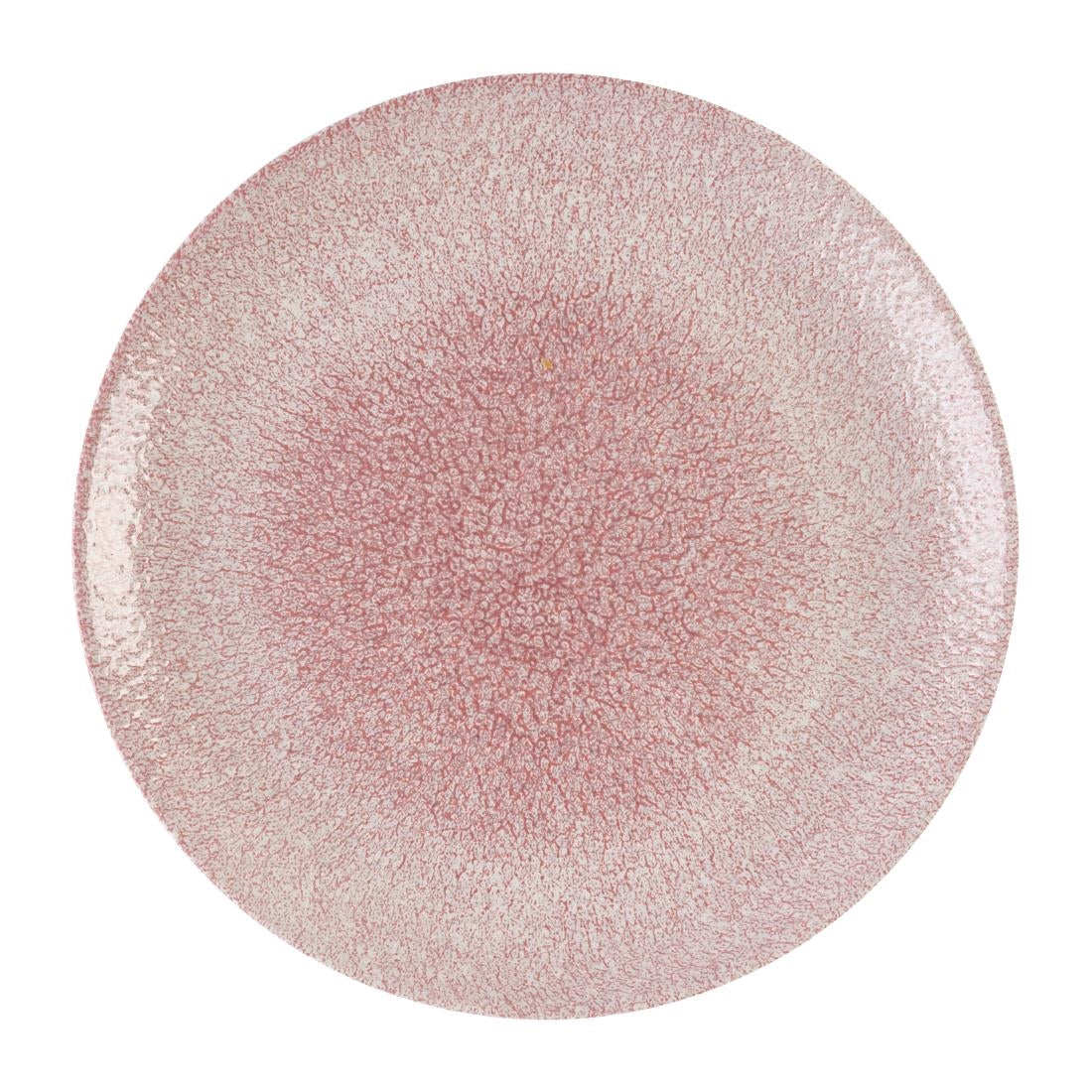 Assiettes rondes Churchill Studio Prints Raku Rose Quartz Pink 288mm (Lot de 12)