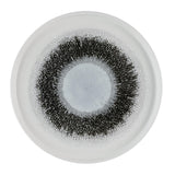 Assiettes avec rebord Churchill Studio Prints Fusion Black 260mm (Lot de 6)