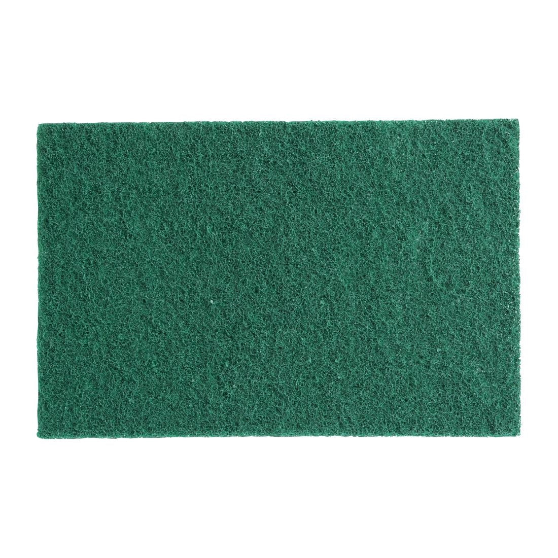 Petits tampons à récurer Jantex verts (lot de 10)