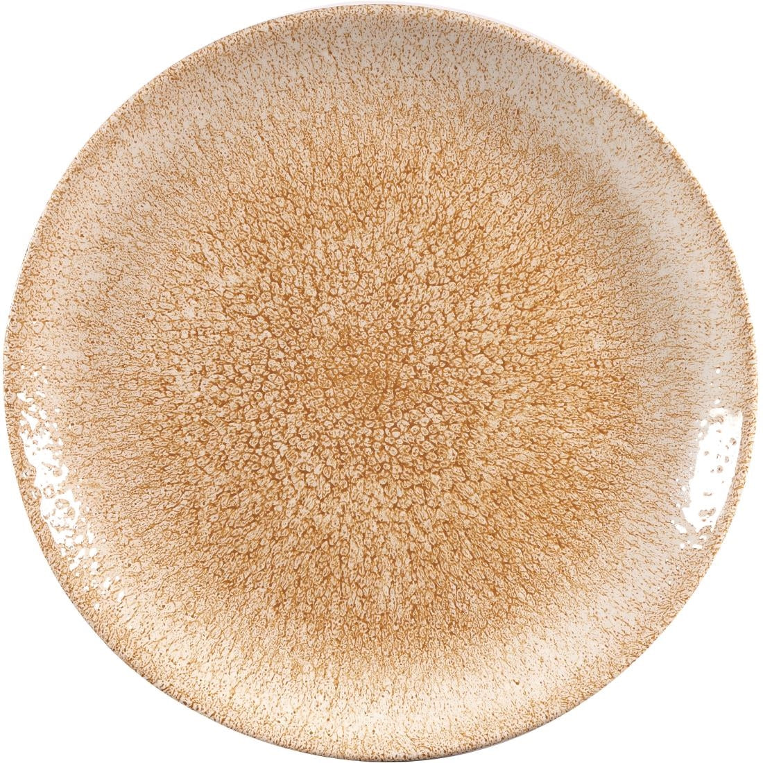 Assiettes rondes Churchill Studio Prints Raku Garnet Orange 260mm (Lot de 12)