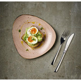 Bols triangulaires Churchill Stonecast Raw Terracotta Lotus 229mm (Lot de 12)