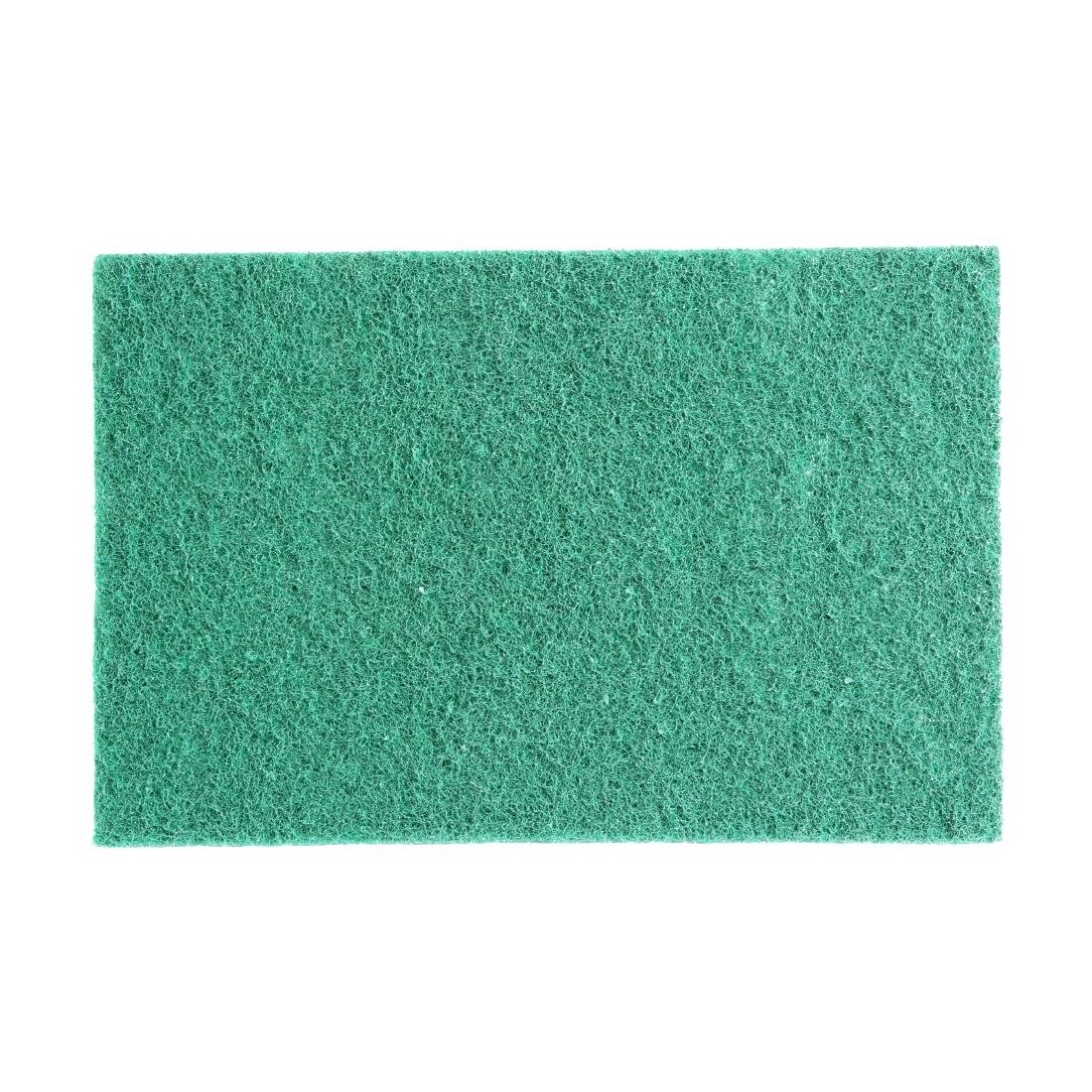 Tampons abrasifs verts 100% recyclés Jantex 225x150mm (lot de 10)