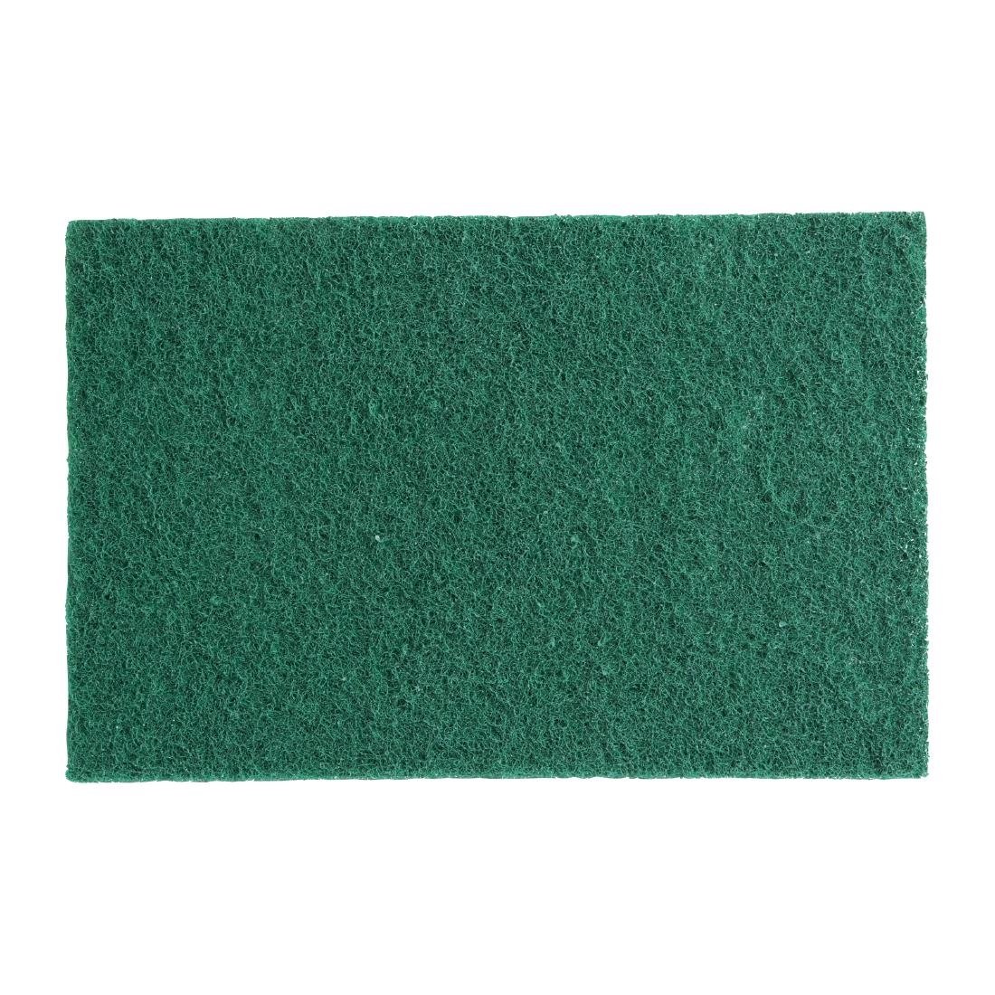 Grands tampons à récurer Jantex verts (lot de 10)