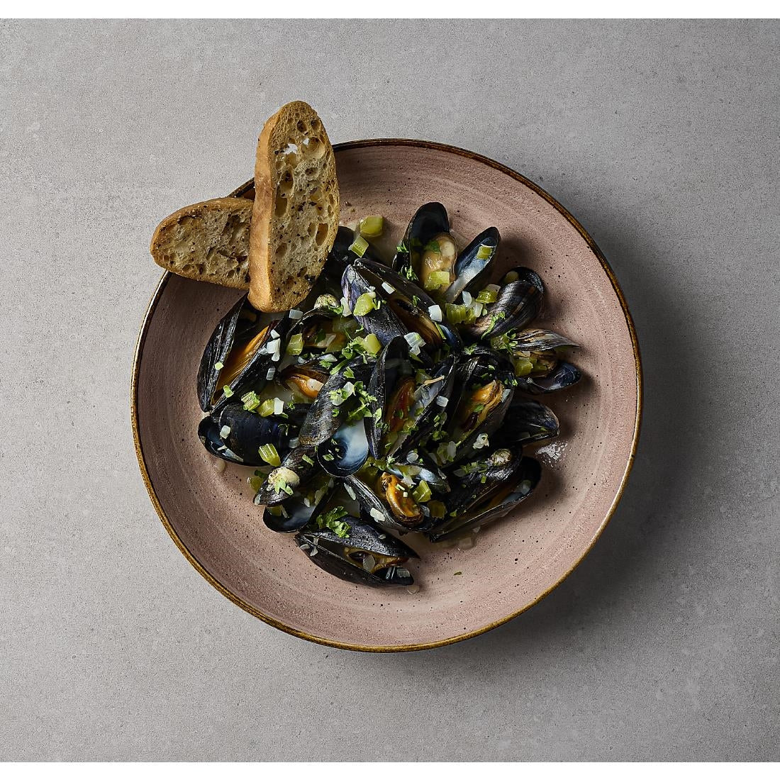 Bols Churchill Stonecast Raw Terracotta Evolve 248mm (Lot de 12)