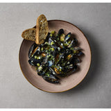 Bols Churchill Stonecast Raw Terracotta Evolve 248mm (Lot de 12)