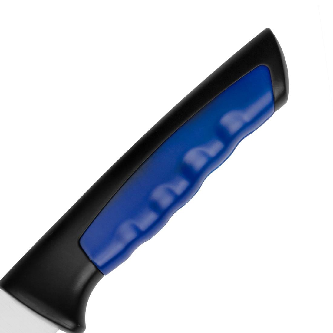 Couteau à filet Hygiplas Pro bleu 15 cm - NISBETS
