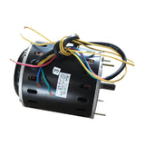 Moteur Buffalo - NISBETS