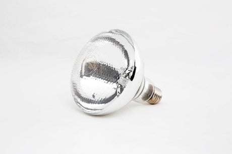 Ampoule Chauffante CombiSteel - FRANCE CHR