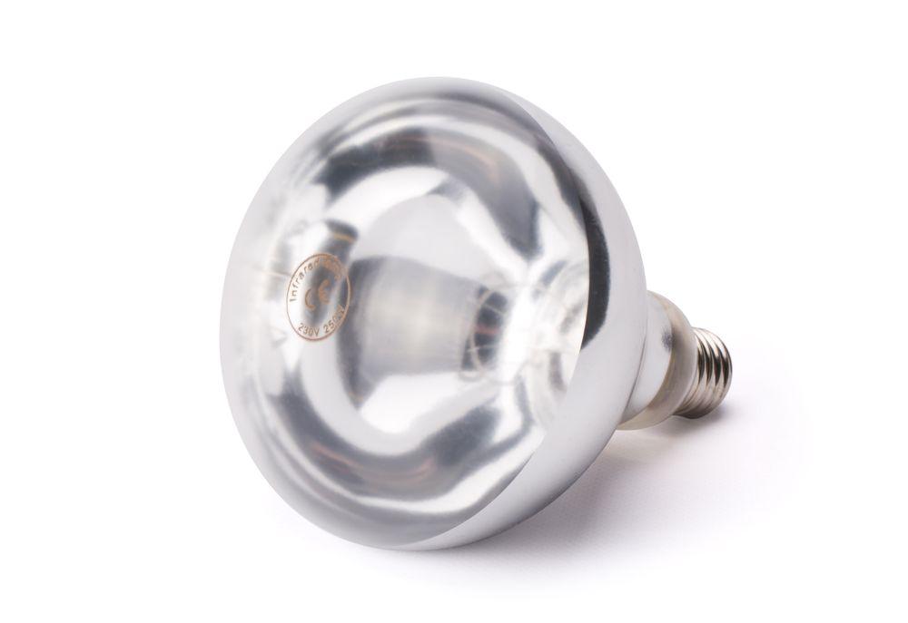 Ampoule infrarouge chauffante, HENDI, 230V/250W, ø125x(H)170mm