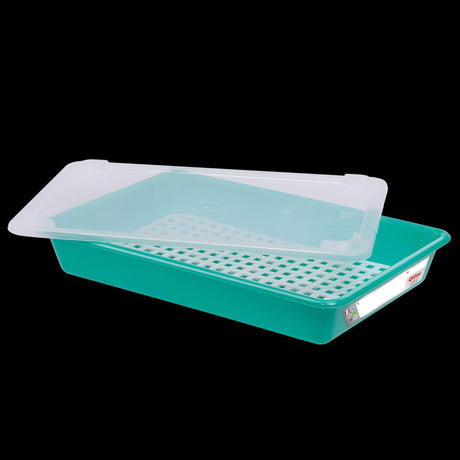 Bac plat 8 L HACCP vert + couvercle + grille - FRANCE CHR