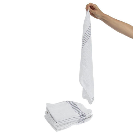 Serpillières Jantex (Lot de 10) - FRANCE CHR