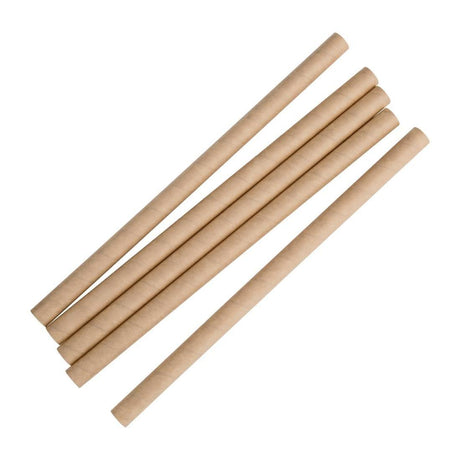 Pailles à smoothie compostables en papier Fiesta Compostable kraft 210mm (lot de 250) - FRANCE CHR