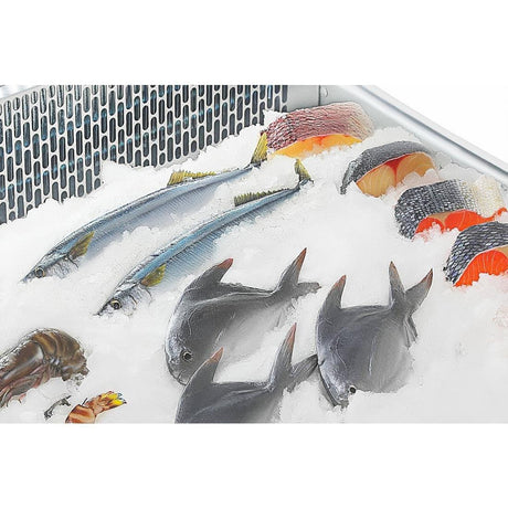 Vitrine réfrigérée de comptoir à poisson Polar Série G 175L - FRANCE CHR