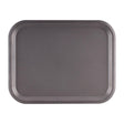 Plateau Roltex Nordic 430x330mm gris foncé - FRANCE CHR