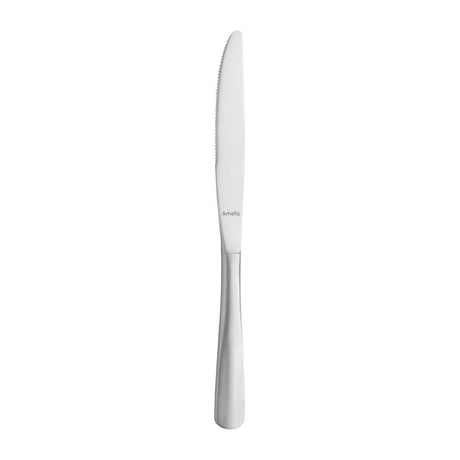 Couteaux à dessert Amefa Baguette (Lot de 12) - FRANCE CHR